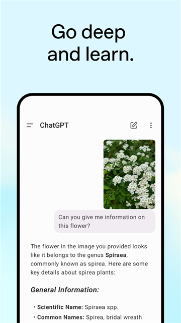 ChatGPTapp截图1